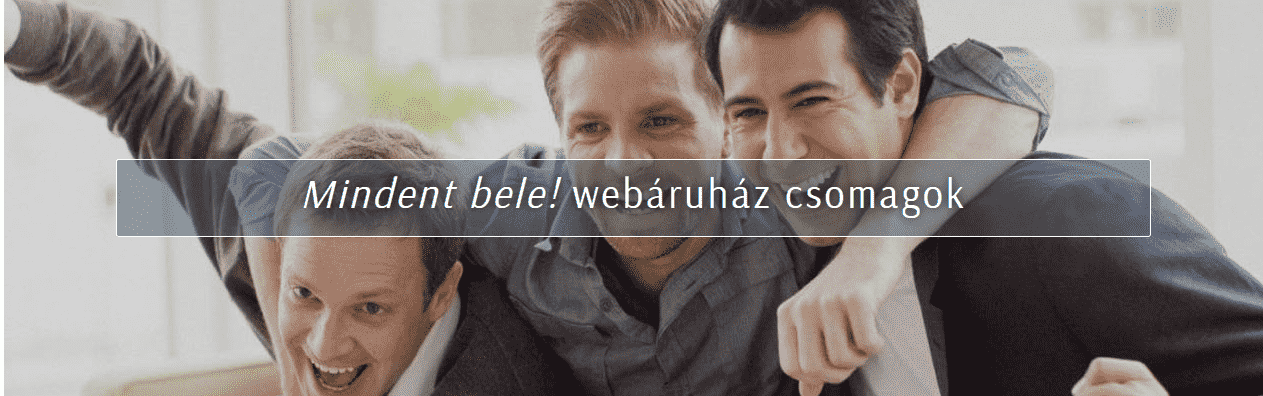 Webshop készítés árak